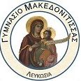 Γυμνάσιο Μακεδονίτισσας